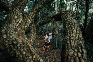 BIB: 
                            <button type="button" onclick="openModal(25392724)" class="btn btn-primary btn-sm float-right btn-popup" data-toggle="modal" data-target=".modal-high-quality">
                        <i class="fas fa-shopping-cart"></i> Add to Cart
                    </button>
                                            <button type="button" onclick="isThisMe(25392724, true)" class="btn btn-success btn-sm float-right btn-popup btn-isme hidden" data-toggle="tooltip" data-placement="bottom" title="นี่คือรูปของคุณใช่ไหม คลิกที่นี่เพื่อเอาเข้าอัลบั้ม">
                        <i class="fas fa-plus"></i> Add to album
                    </button>
                    <button type="button" onclick="isThisMe(25392724, false)" class="btn btn-warning btn-sm float-right btn-popup btn-isnotme hidden">
                        <i class="fas fa-ban"></i> Remove from album
                    </button>